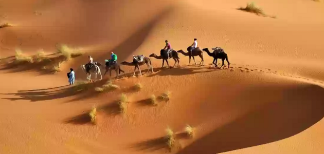 711 رمز اي قبيلة في السعودية 1 711 رمز اي قبيلة في المملكة