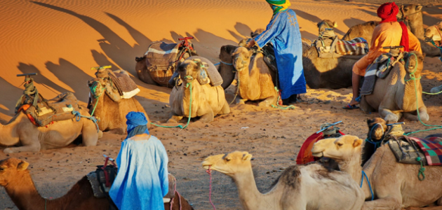 909 رمز اي قبيلة في السعودية 1 909 رمز اي قبيلة