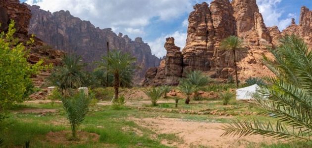 عدد سكان تبوك 2025 1 كم عدد سكان تبوك 2024 ومحافظاتها