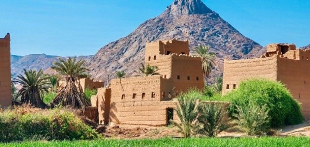 عدد سكان منطقة نجران 2025 1 كم عدد سكان منطقة نجران
