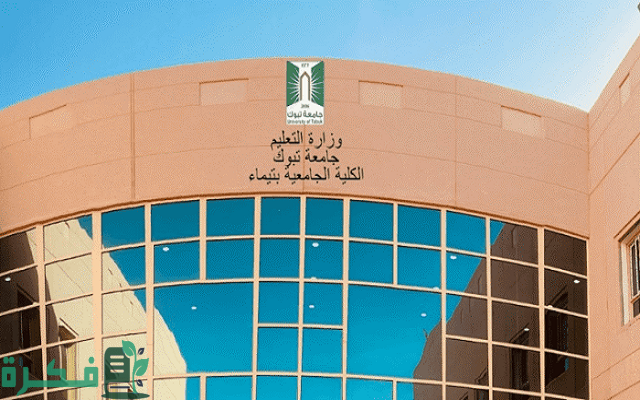 تخصصات جامعة تيماء تخصصات جامعة تيماء