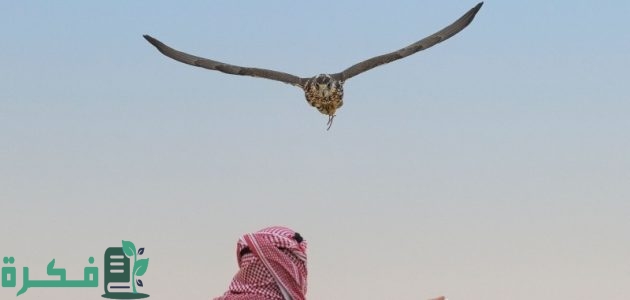 جدول غرامات الصيد في السعودية 1 جدول غرامات الصيد في السعودية