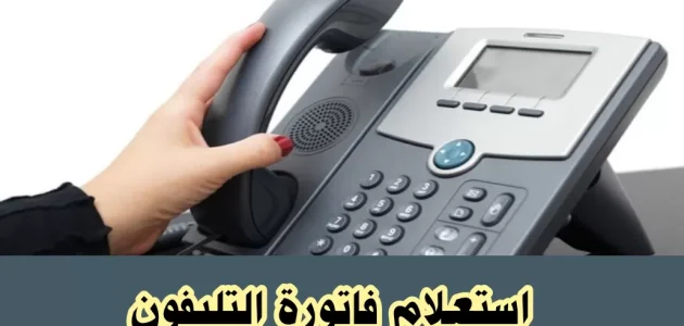 شرح خطوات معرفة فاتورة التليفون الارضي 2025 بالاسم والرقم 1 PicsArt 06 06 12.05.41