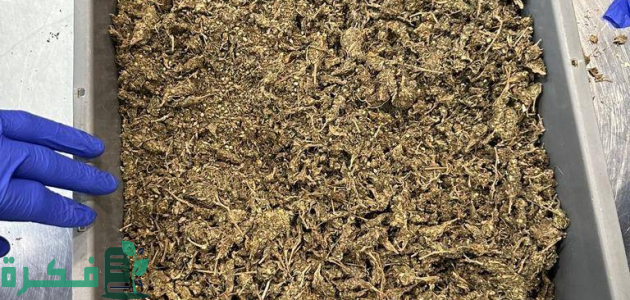 جمارك دبي تعلن القبض على مسافرة أفريقية تحمل مواد مخدرة 1 جمارك دبي تكشف حيلة جديدة لإخفاء المواد المخدرة مع مسافرة أفريقية