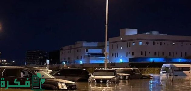 نصائح وتوصيات هامة لحماية المنازل من الأمطار الغزيرة في الإمارات 1 كيفية حماية المنازل من الأمطار الغزيرة في الإمارات