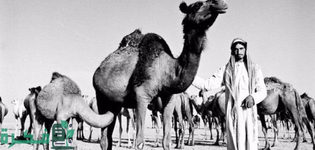 ما هي أول قبيلة استوطنت في الكويت 1 أول قبيلة استوطنت في الكويت