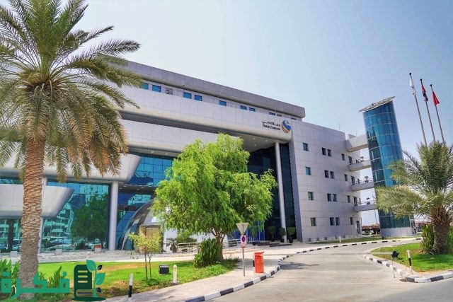 إنجاز أكثر من 255 ألف معاملة جمركية في دبي خلال فترة المنخفض الجوي إنجاز أكثر من 255 ألف معاملة جمركية في دبي خلال فترة المنخفض الجوي