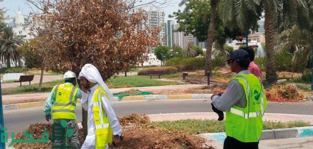 استمرار الجهود في معالجة آثار العاصفة والأمطار التي شهدتها أبوظبي 1 بلدية أبوظبي تواصل جهودها في معالجة آثار العاصفة والأمطار التي شهدتها البلاد