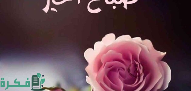 اجمل عبارات وكلام صباح الخير 2025 1 كلام صباح الخير