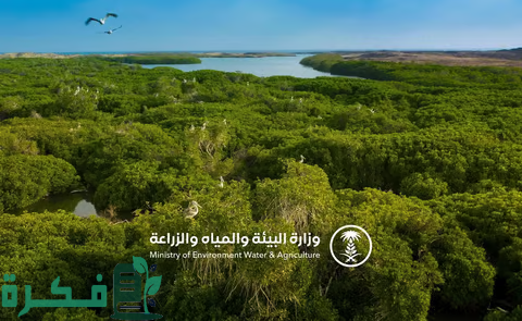 وزارة البيئة الموافقة على انضمام السعودية إلى اتفاقية الأراضي الرطبة تعزّز المنافعَ البيئية والاقتصادية 1 "البيئة": الموافقة على انضمام المملكة إلى اتفاقية الأراضي الرطبة تعزّز المنافعَ البيئية والاقتصادية