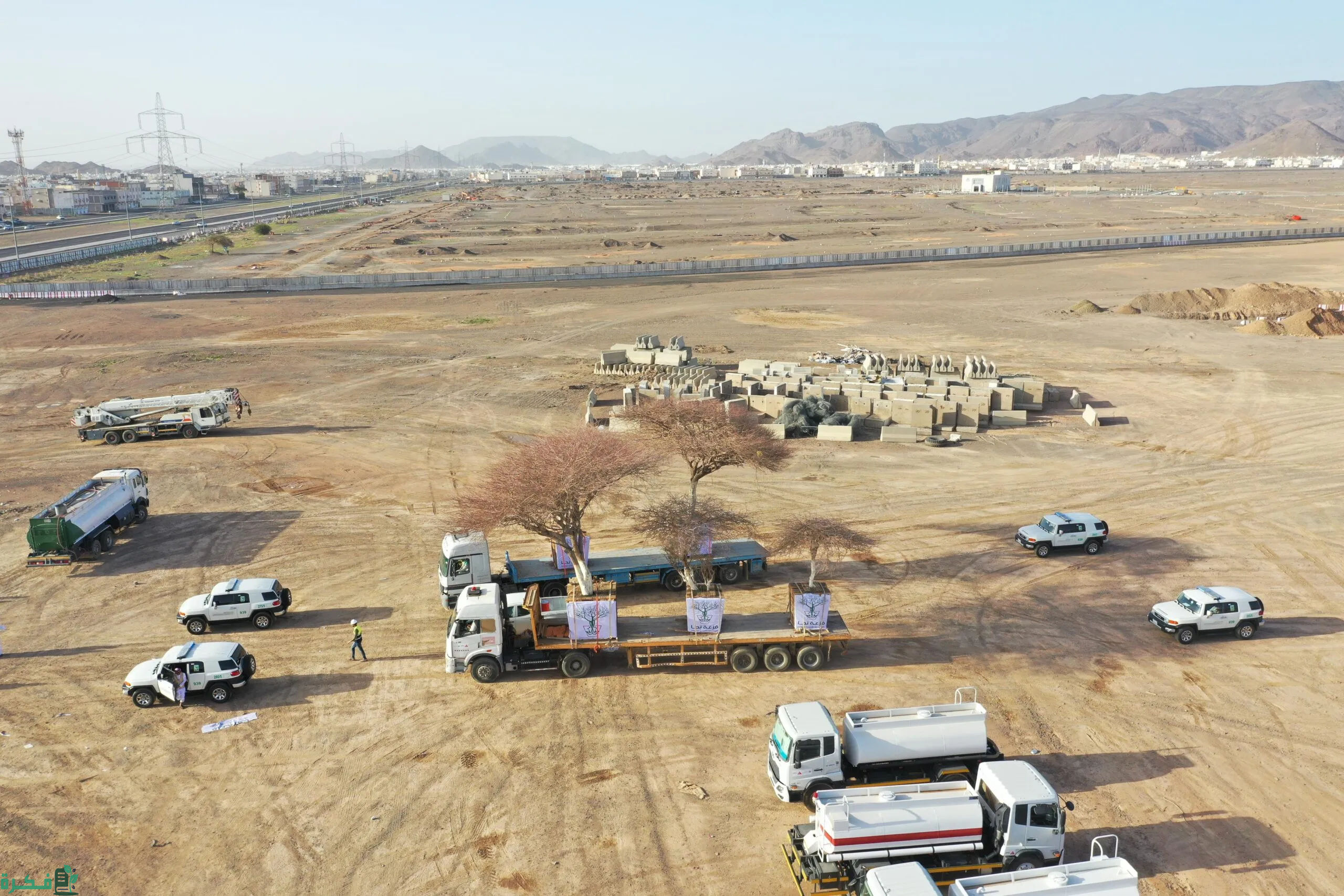 "المركز الوطني لتنمية الغطاء النباتي" يعلن نقل 8 أشجار معمرة إلى متنزه البيضاء بالمدينة المنورة 2 "الغطاء النباتي" ينقل 8 أشجار معمرة إلى متنزه البيضاء بالمدينة المنورة