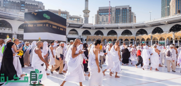 "وزارة الحج" تدعو الحجاج للتأكد من شركات تقديم خدمات الحج لتنجب النصب 1 لتجنُّب الحملات الوهمية.. "الحج": خطوات ميسّرة للتعرُّف على مقدّمي الخدمات