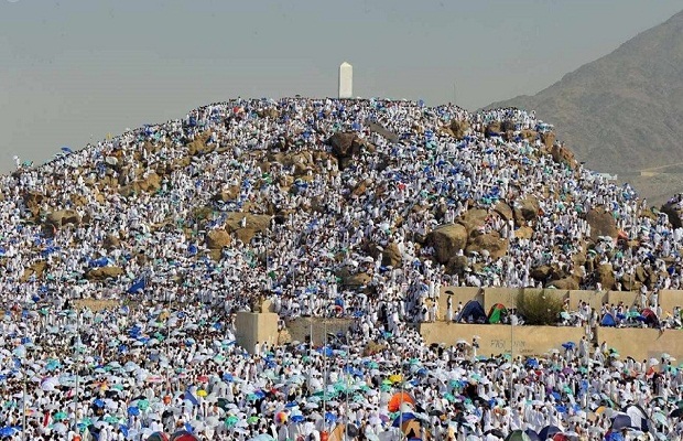 هل يمكن إضافة مرافقين بعد سداد رسوم الحج؟.. "وزارة الحج" توضح 2 هل يمكن إضافة مرافقين بعد سداد رسوم الحج