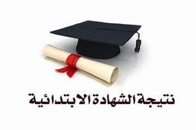 ظهرت الان.. نتيجة الصف الرابع الابتدائي الترم الثاني 2025 بالاسم او برقم الجلوس 3 th 7 2