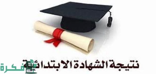 "إعلان".. نتيجة الصف الرابع الابتدائي الترم الثاني 2025 بالاسم او برقم الجلوس 1 نتيجة الصف الرابع الابتدائي الترم الثاني 2024 بالاسم فقط او رقم الجلوس أو بالرقم القومي