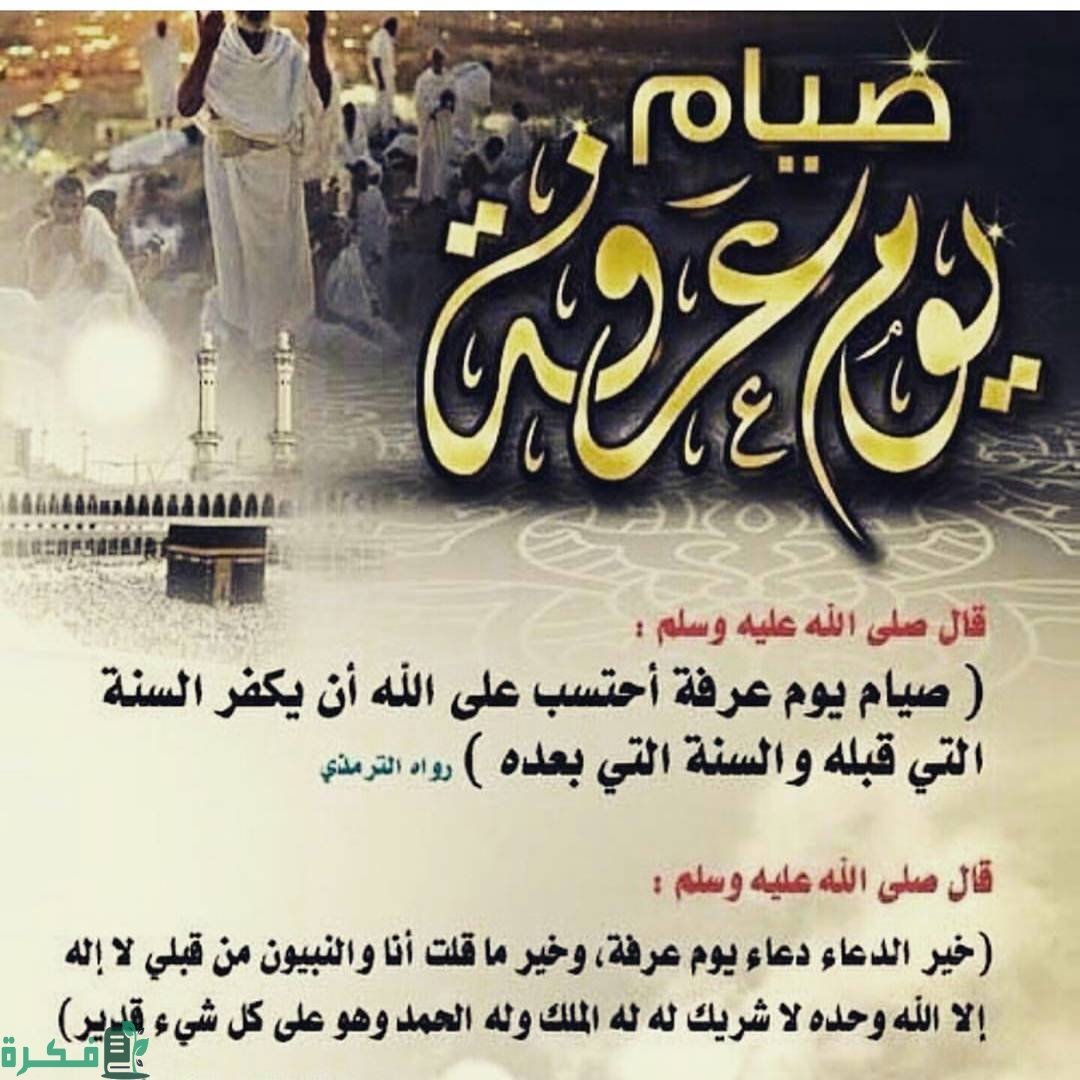 دعاء يوم عرفة طويل مكتوب.. "دعاء النبي في جبل عرفات" للحجاج وغير الحجاج 2 دعاء يوم عرفة