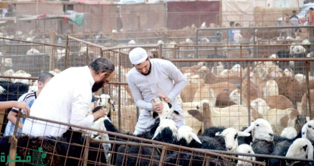 إعلان "أمانة جدة" إعادة تفعيل تصريح الذبح للمطاعم والمطابخ خلال عيد الأضحى 3 أمانة جدة تعيد تفعيل تصريح الذبح للمطاعم والمطابخ خلال عيد الأضحى