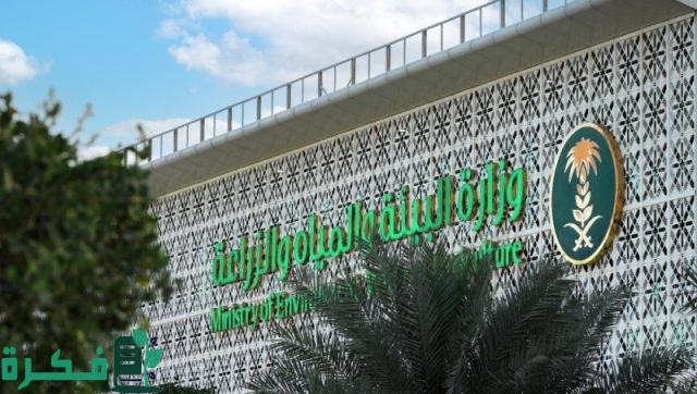 المملكة تحتفي بـ"اليوم العالمي للبيئة".. كم يبلغ معدل إنتاج الفرد في السعودية للنفايات يوميًّا؟ المملكة تحتفي بـ"اليوم العالمي للبيئة".. كم يبلغ معدل إنتاج الفرد في السعودية للنفايات يوميًّا؟