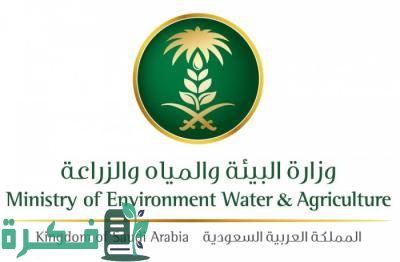 رفع مستوى الخدمة وجاهزية تامة بمسالخ في مكة المكرمة 1 للحفاظ على البيئة والصحة العامة.. رفع مستوى الخدمة وجاهزية تامة بمسالخ العاصمة المقدسة