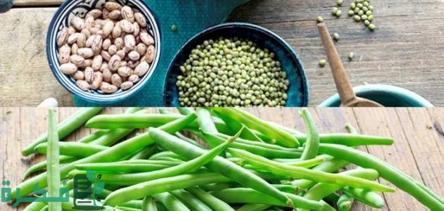 هل الفاصوليا مسموح في الكيتو للتخسيس؟ 1 الفاصوليا مسموح في الكيتو