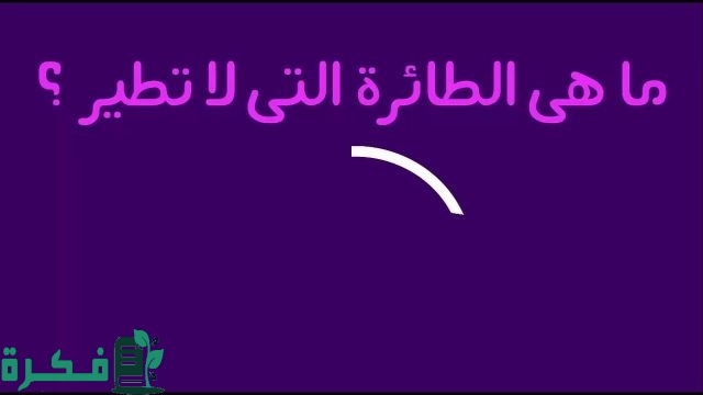 حزازير بايخة حزازير بايخة