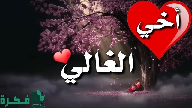 عبارات عن الاخ الكبير مميزة عبارات عن الاخ الكبير مميزة