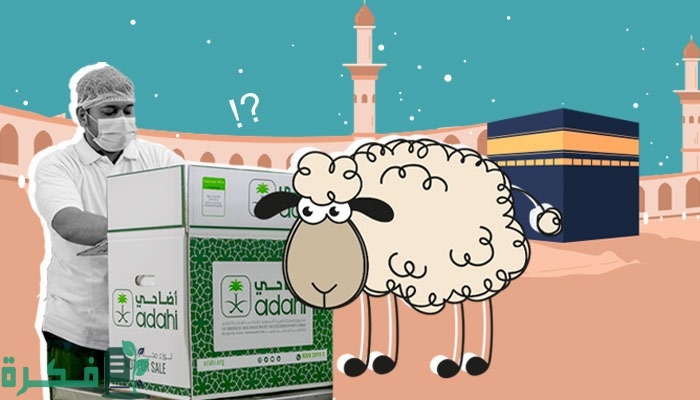 اسعار الأضاحي 2025 في السعودية 3 اسعار الاضاحي 2024 السعودية
