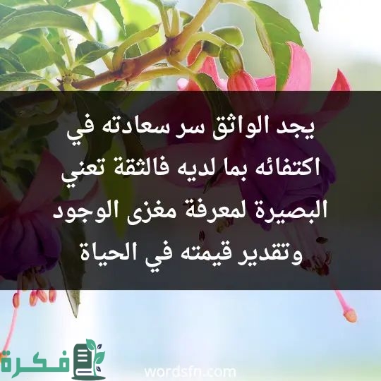 عبارات فخمة مزخرفة عبارات فخمة مزخرفة
