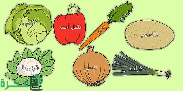 حزازير للاطفال عن الفواكه حزازير للاطفال عن الفواكه