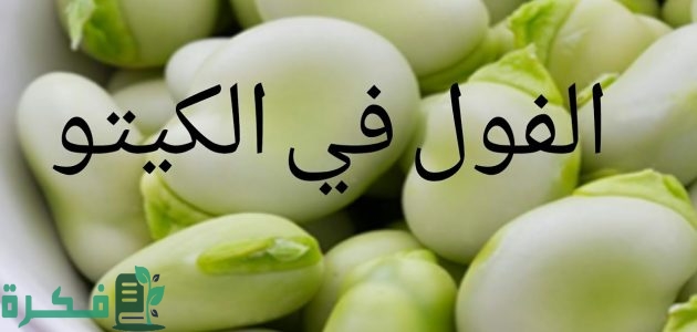 هل الفول مسموح في الكيتو لتخسيس؟ 1 هل الفول مسموح في الكيتو