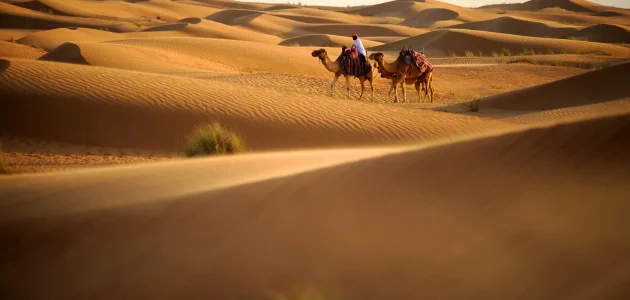 هل كل العرب بدو وما هو أصل القبائل العربية 1 هل كل العرب بدو