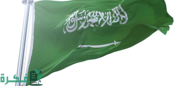 ما هي معايير تجنيس السعودية للمتميزين والمبدعين 1 "أصحاب الكفاءات والتخصصات النادرة".. ما معايير تجنيس المملكة للمتميزين والمبدعين؟