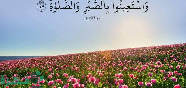 آيات عن الصبر والجهاد 1 آيات عن الصبر والجهاد