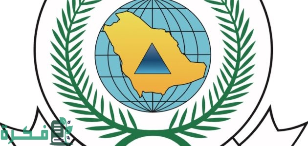 "الدفاع المدني السعودي" يعلن إستقبال طلبات التقديم في الوظائف المدنية الفنية الجديدة 1446 1 رسميًا الدفاع المدني السعودي يستقبل طلبات التقديم في الوظائف المدنية الفنية الجديدة 1446