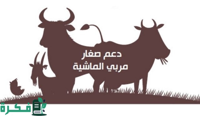 طريقة التسجيل دعم المواشي 1446 بالسعودية حسب المتطلبات اللازمة للاستفادة من الإعانة طريقة التسجيل دعم المواشي 1446 بالسعودية حسب المتطلبات اللازمة للاستفادة من الإعانة