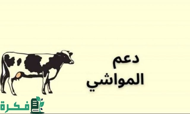 طريقة التسجيل دعم المواشي 1446 بالسعودية حسب المتطلبات اللازمة للاستفادة من الإعانة طريقة التسجيل دعم المواشي 1446 بالسعودية حسب المتطلبات اللازمة للاستفادة من الإعانة