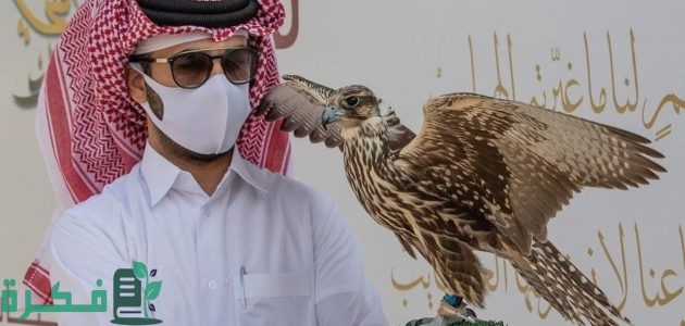 "شمال الرياض" بدء فعاليات معرض الصقور والصيد السعودي الدولي 2025 1 بدء فعاليات معرض الصقور والصيد السعودي الدولي 2024.. تجربة فريدة لعشاق التراث والطبيعة