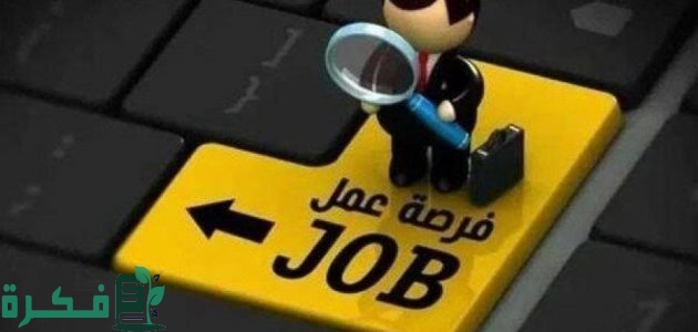 الأوراق المطلوبة والمؤهلات لوظائف خالية بوزارة الصناعة والتقديم حتى 14 نوفمبر المقبل 1 عاجل.. وظائف خالية بوزارة الصناعة والتقديم حتى 14 نوفمبر المقبل.. الأوراق المطلوبة