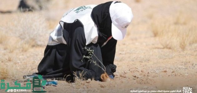 هيئة تطوير محمية الملك سلمان تعلن زراعة 5000 شجرة في مسيج أبو عجرم 1 هيئة تطوير محمية الملك سلمان تزرع 5000 شجرة في مسيج أبو عجرم