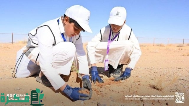 هيئة تطوير محمية الملك سلمان تزرع 5000 شجرة في مسيج أبو عجرم هيئة تطوير محمية الملك سلمان تزرع 5000 شجرة في مسيج أبو عجرم
