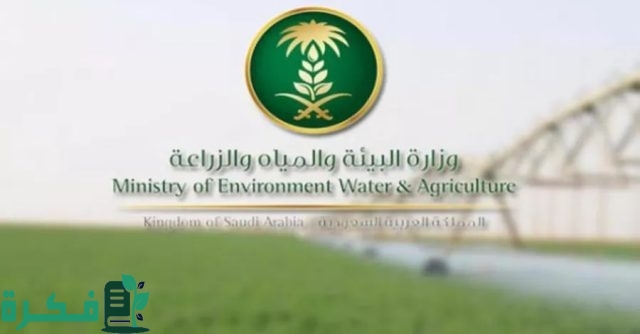 البيئة تدعو الصيادين للاستفادة من بدء موسم صيد أسماك الباغة عبر "نما" البيئة تدعو الصيادين للاستفادة من بدء موسم صيد أسماك الباغة عبر "نما"