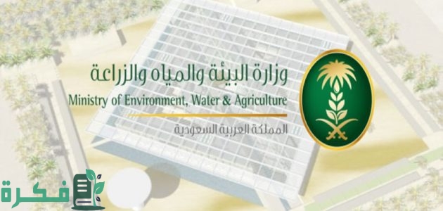 "وزارة البيئة" تدعو الصيادين للاستفادة من بدء موسم صيد أسماك الباغة عبر "نما" 1 البيئة تدعو الصيادين للاستفادة من بدء موسم صيد أسماك الباغة عبر "نما"