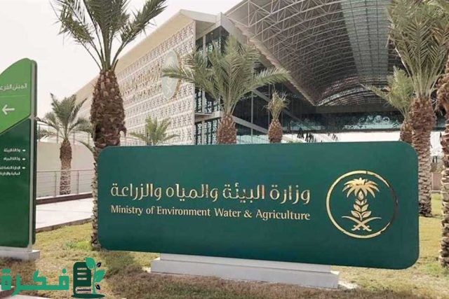 البيئة تدعو الصيادين للاستفادة من بدء موسم صيد أسماك الباغة عبر "نما" البيئة تدعو الصيادين للاستفادة من بدء موسم صيد أسماك الباغة عبر "نما"