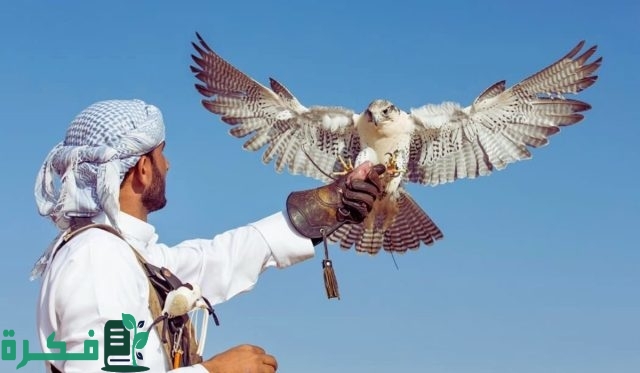 بدء فعاليات معرض الصقور والصيد السعودي الدولي 2024.. تجربة فريدة لعشاق التراث والطبيعة بدء فعاليات معرض الصقور والصيد السعودي الدولي 2024.. تجربة فريدة لعشاق التراث والطبيعة