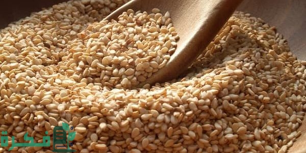 سعر كيلو السمسم في مصر اليوم 2025 1 سعر كيلو السمسم في مصر اليوم