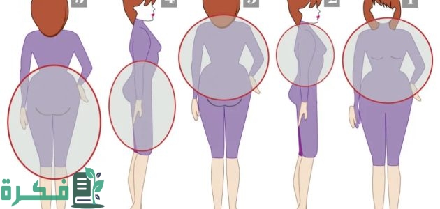 ترتيب المناطق في نزول الوزن عند النساء 1 ترتيب المناطق في نزول الوزن عند النساء