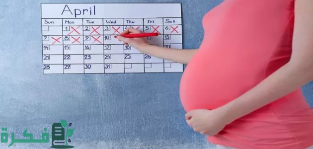 آلة حاسبة لمعرفة نوع الجنين من اخر دورة 1 آلة حاسبة لمعرفة نوع الجنين من اخر دورة