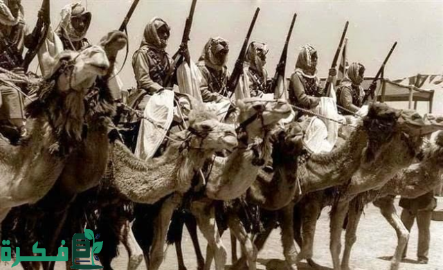 اصل قبيلة الترابين اصل قبيلة الترابين