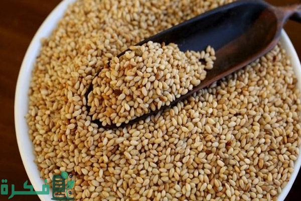 سعر كيلو السمسم في مصر اليوم سعر كيلو السمسم في مصر اليوم