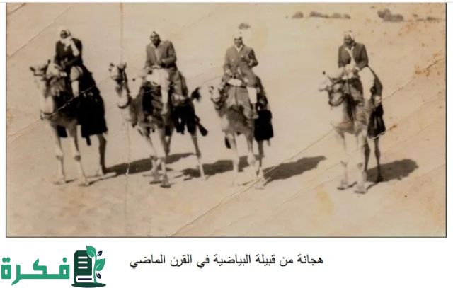 اصل قبيلة البياضية اصل قبيلة البياضية